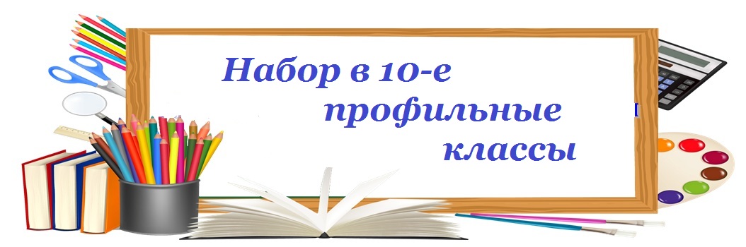 Результаты индивидуального отбора в классы с профильным обучением.